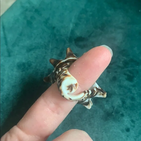 Statement Shell Cocktail Ring - Picture 2 of 4